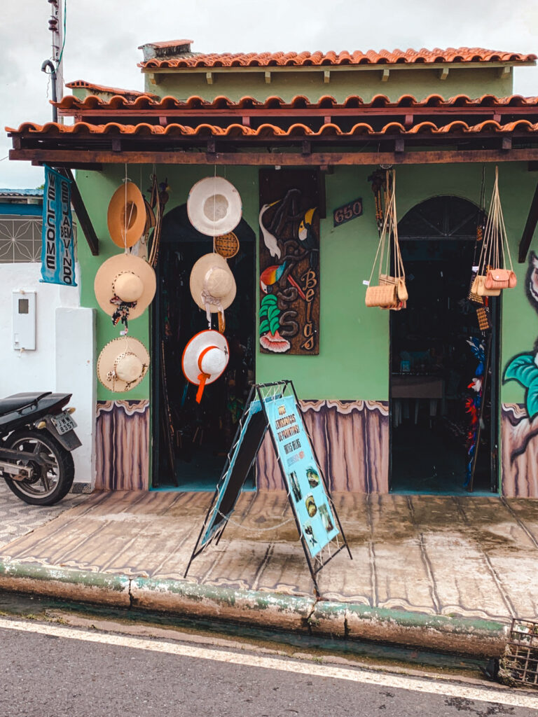 Lees hier alles over een unieke cruise bestemming de Amazone van Brazilië, Manaus. - de Kritische Cruise lover