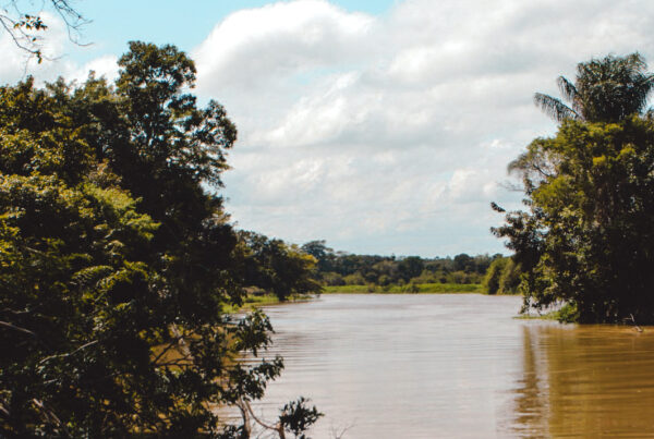 Lees hier alles over cruise bestemming Manaus in Brazilië, onze cruise tips - de Kritische cruise lover