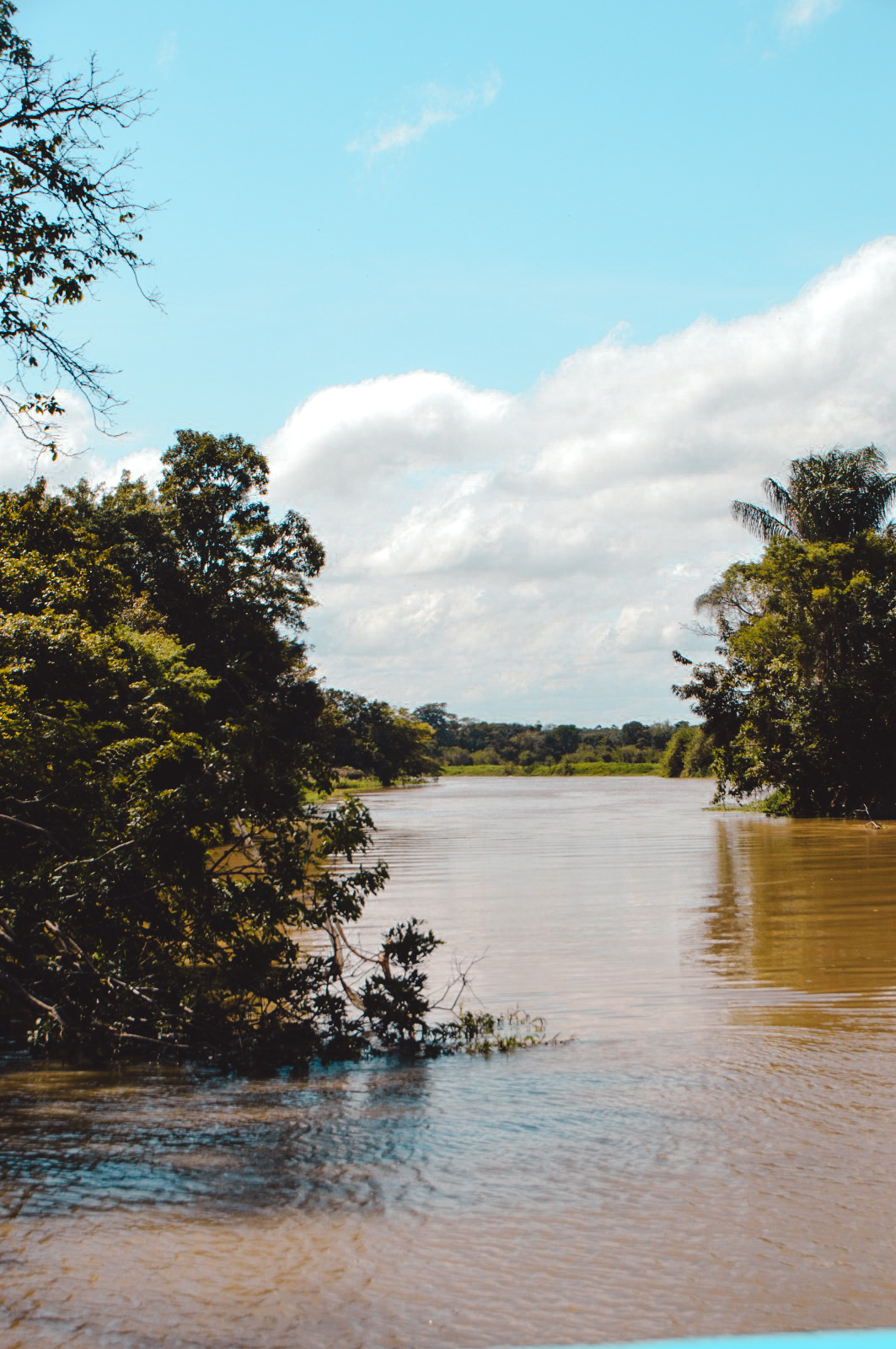 Lees hier alles over cruise bestemming Manaus in Brazilië, onze cruise tips - de Kritische cruise lover