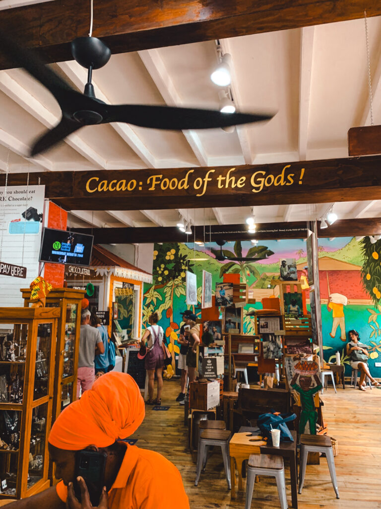 Grenada is een populaire bestemming in de Caribbean. Ontdek hier onze tips voor de Caribbean - de Kritische Cruise lover