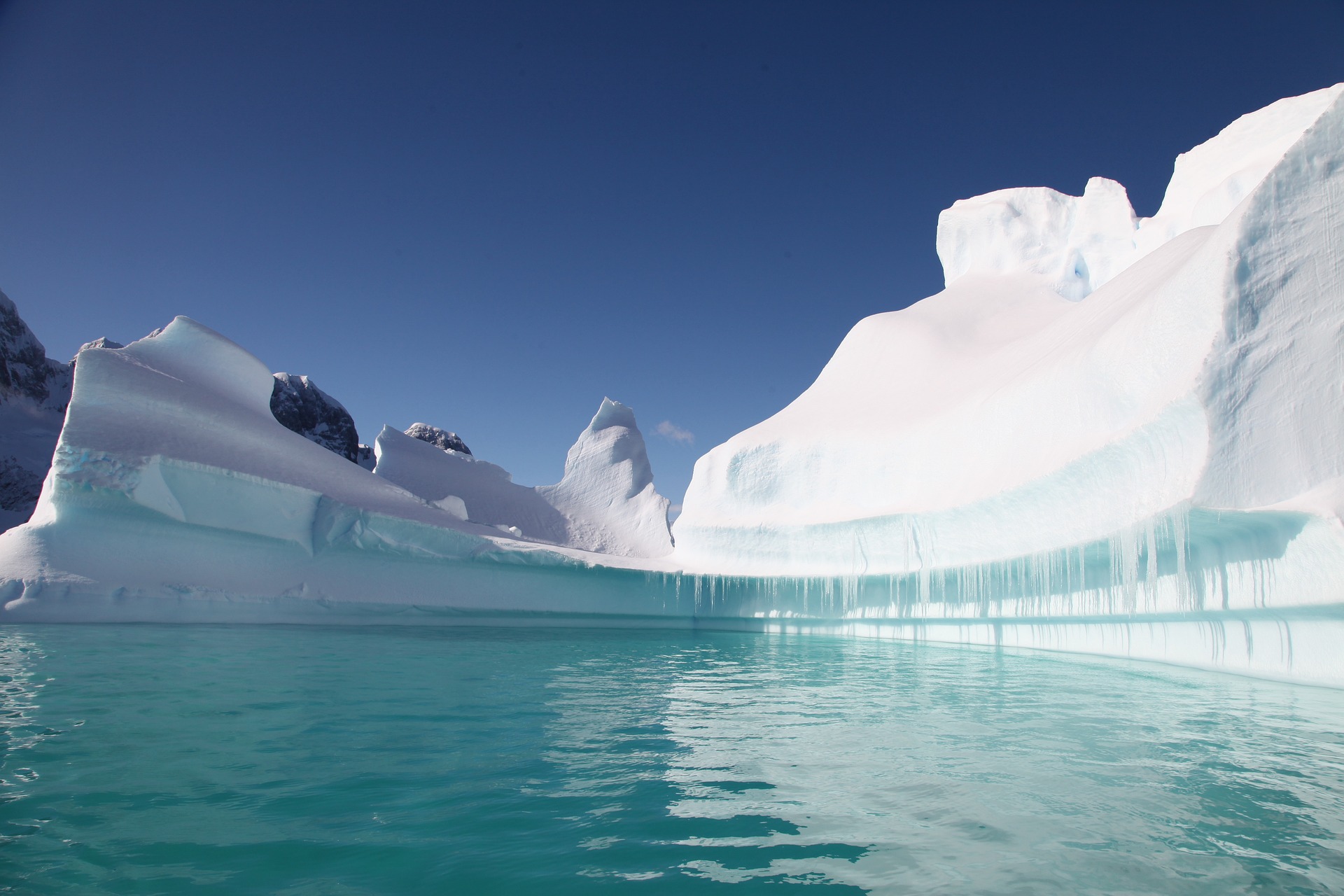 Wil jij meer weten van de effecten van cruiseschepen op Antarctica, lees dan hier onze duurzame gids